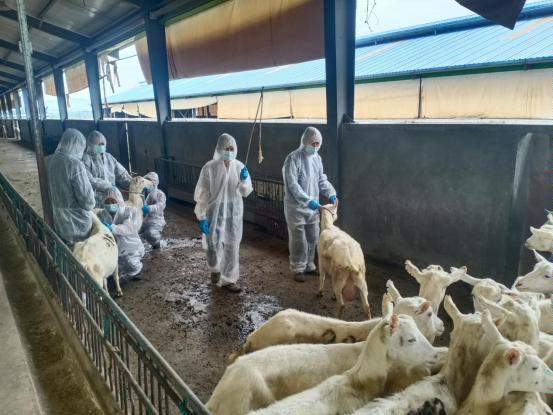 千陽縣畜產局再獲省級榮譽，產業興旺助力鄉村振興